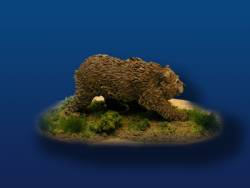 Short Faced Bear walking